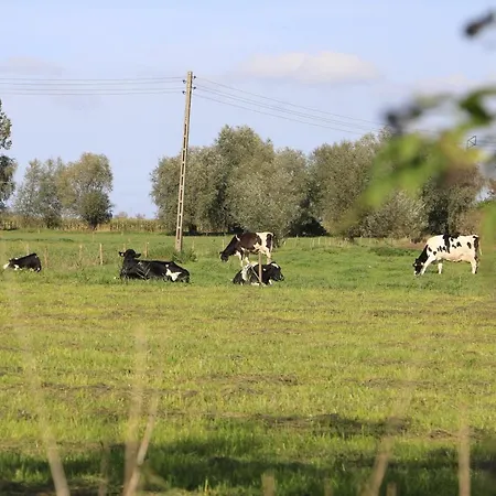 Zulawiaczek Farm stay *