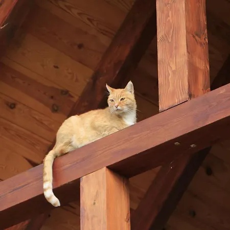 Zulawiaczek Çiftlik konaklama