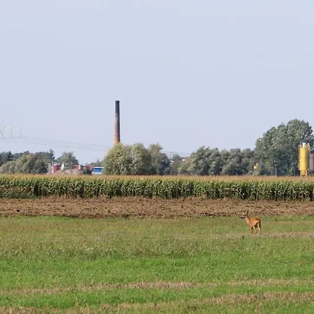 Lantgård Zulawiaczek Nowy Dwór Gdański