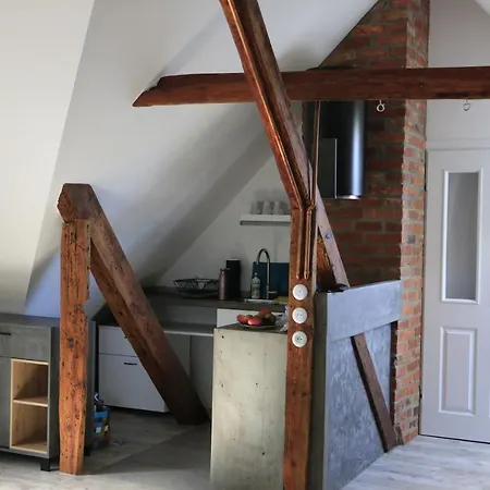 Zulawiaczek Çiftlik konaklama *