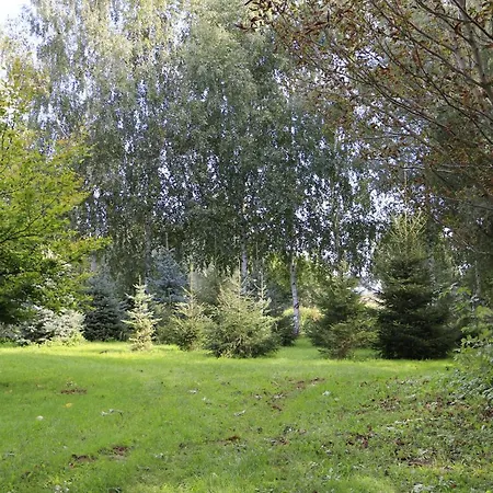 Zulawiaczek Nowy Dwór Gdański