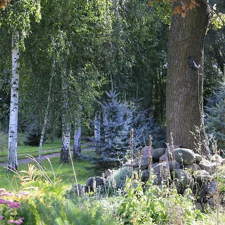 Zulawiaczek Çiftlik konaklama Nowy Dwór Gdański