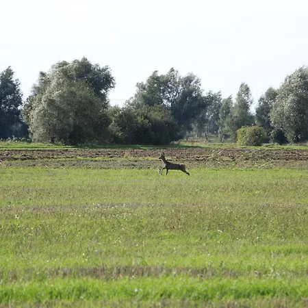 Çiftlik konaklama Zulawiaczek Nowy Dwór Gdański