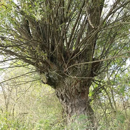 Zulawiaczek Çiftlik konaklama