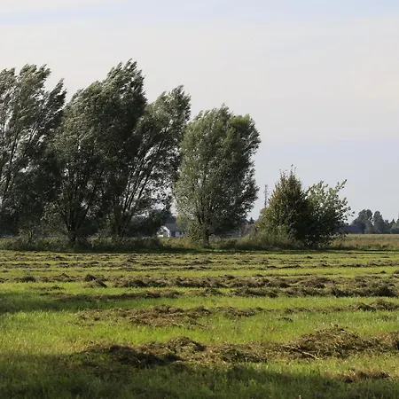 Zulawiaczek Çiftlik konaklama *