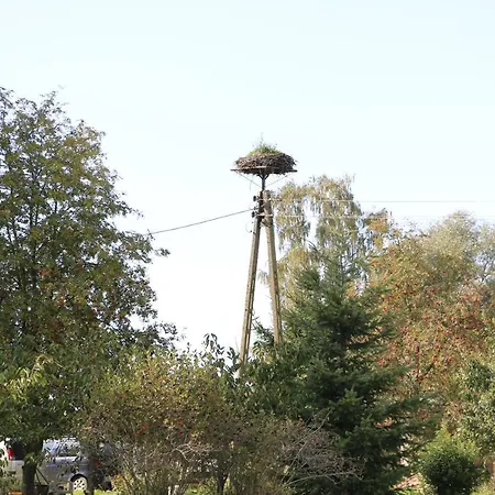 Zulawiaczek * Nowy Dwór Gdański