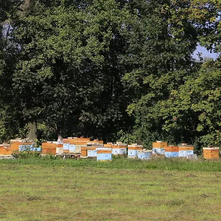 Zulawiaczek Nowy Dwór Gdański