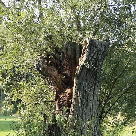 Zulawiaczek 팜스테이