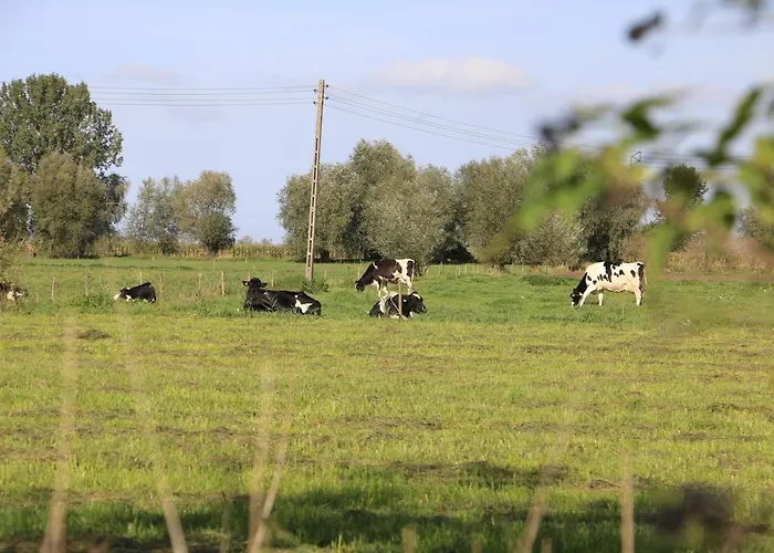Zulawiaczek Alloggio per agriturismo *