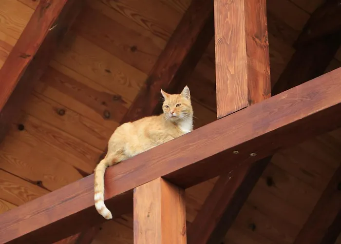 Zulawiaczek Alloggio per agriturismo