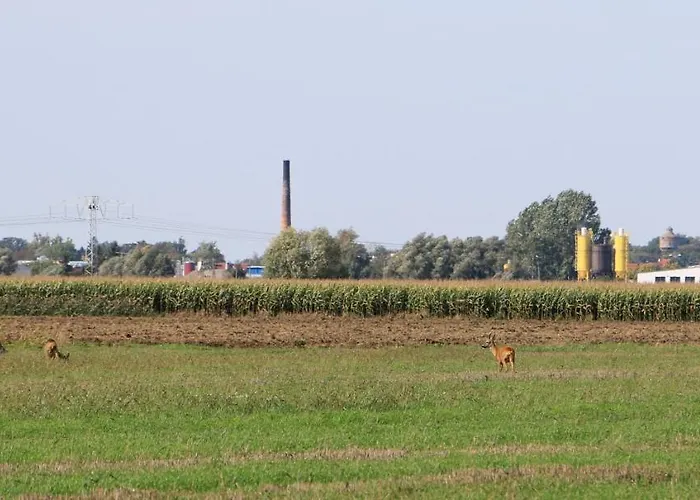 Farma Zulawiaczek Nowy Dwór Gdański