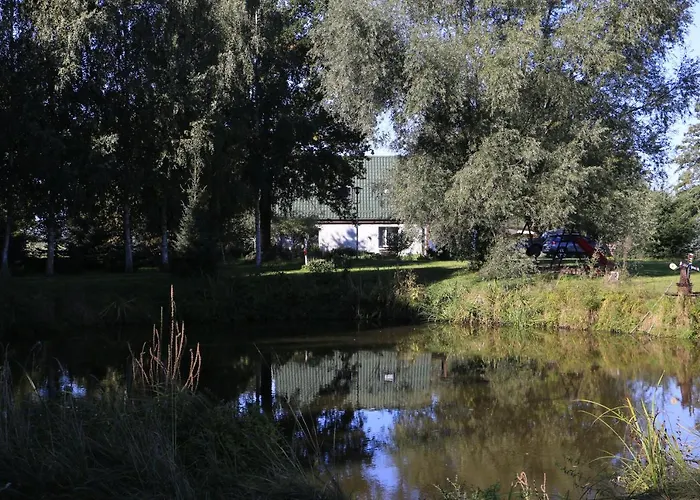 Zulawiaczek * Nowy Dwór Gdański