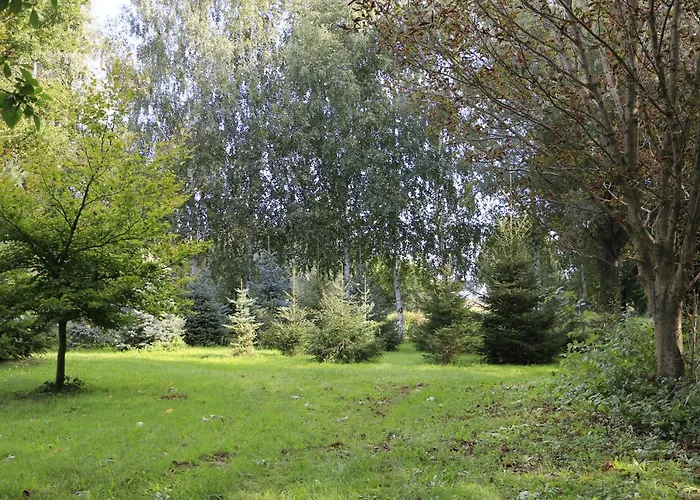 Zulawiaczek Nowy Dwór Gdański