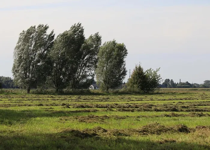 Zulawiaczek Feriegård *