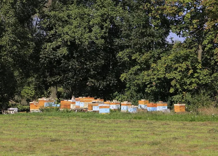 Zulawiaczek Nowy Dwór Gdański
