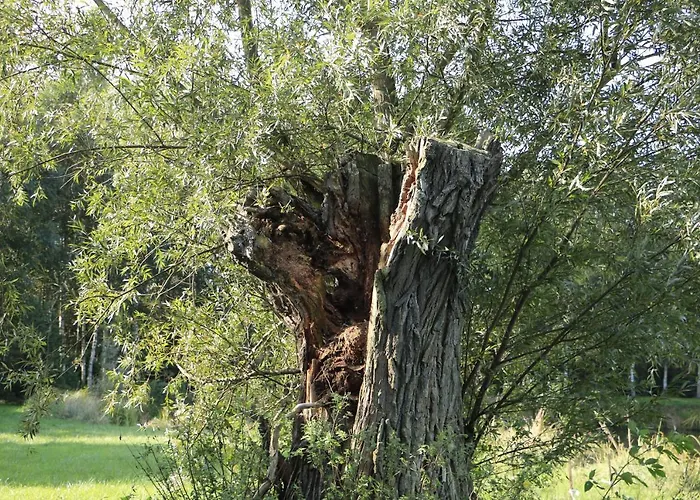 Zulawiaczek Alloggio per agriturismo